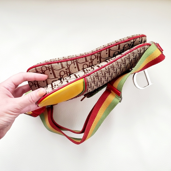 DIOR RastaMania Double Saddle Bag - Picture 11 of 16